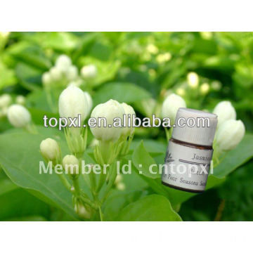 jasmine sambac absolute-- jasmine essential oil